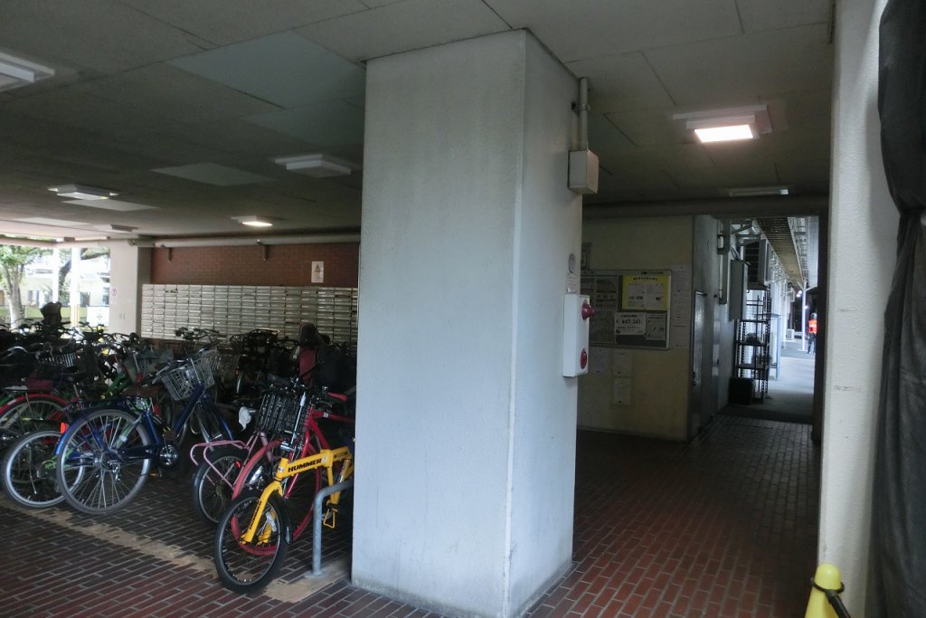 Before