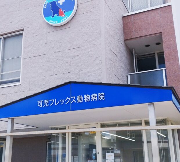 ケンチ石調施工事例2
